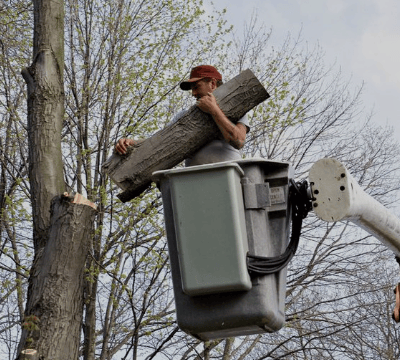 a man is working on a tree stump