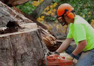 a man in a helmet and safety glasses is cutting a tree stump