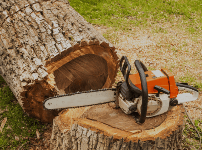 a chainsawer is sitting on a tree stump