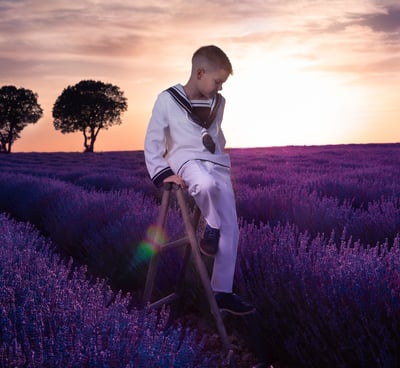 niño de comunion con traje de marinero sentado en escalera  en paisaje de flor de lavanda 