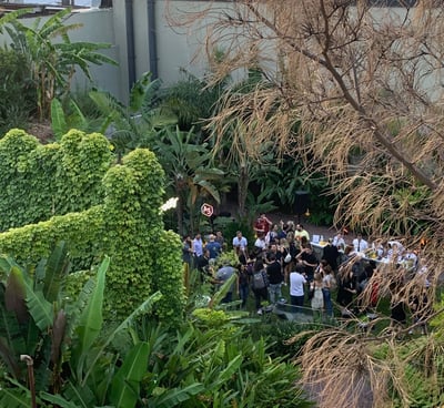 Vista aérea del jardín fiesta de fin de año