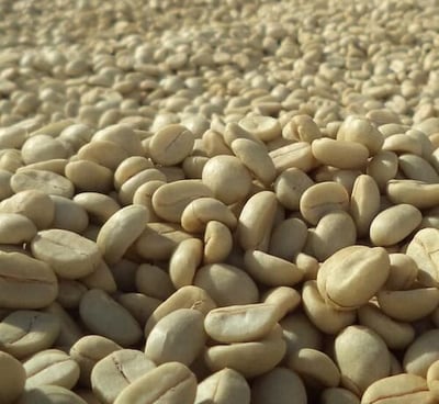 Lavado Dopamine Coffee