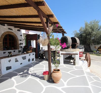 a stone oven with a pizza oven and a table with a potted plant