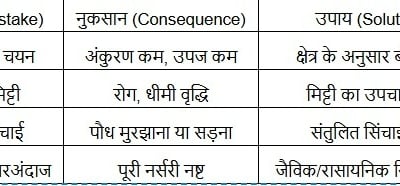 फूलगोभी नर्सरी की गलतियाँ।
