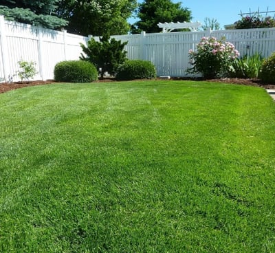 a backyard with a white fenced in lawn area