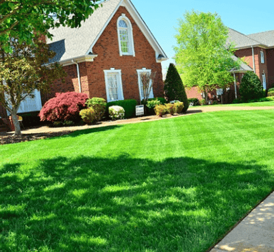 a lawn with a lawn and a house in the background