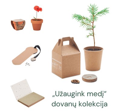 Ekologiškos ir pasodinamos verslo dovanos | ecogifts.lt