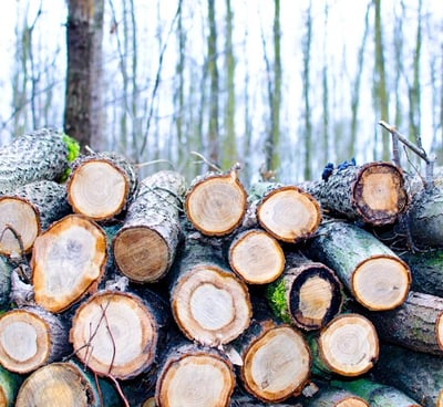 tree logos cutting up