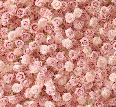 flower wall rental for weddings and events in Minnesota
