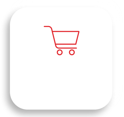 siti web ecommerce
