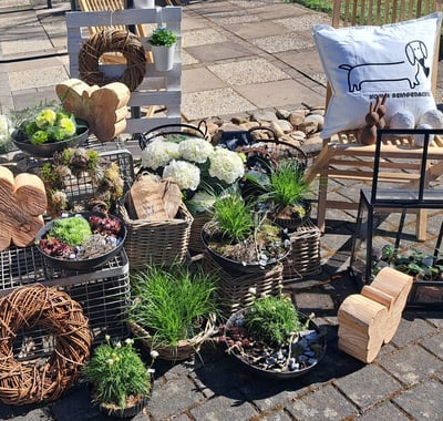ein paar Pflanzen und ein Stuhl in einem Garten