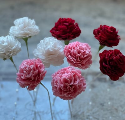 Carnation Sugar Flowers For Cakes