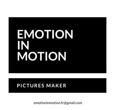 Logo Emotion in Motion FR