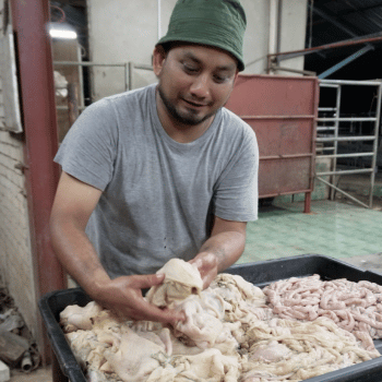 a man in a green hat and a pile of cow intestines