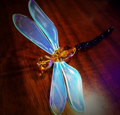 amber dragonfly sitting on a table with blue light wings