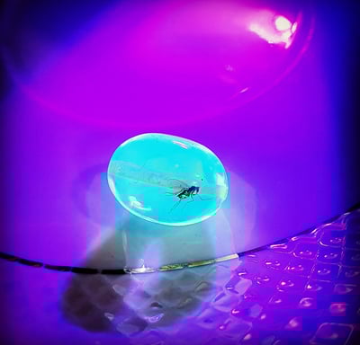 amber ball with a buggy inclusion sitting in a amber bead