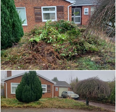 garden waste cleared in a garden clearance carried out by hiltons rubbish removals