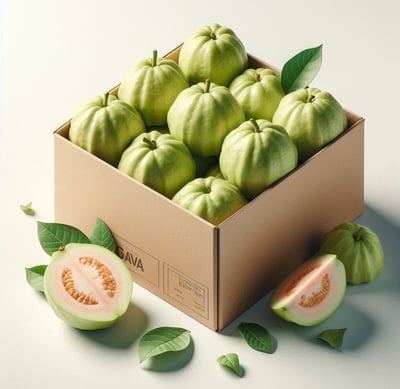 Guava for international export from India