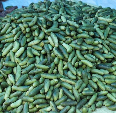 Ivy gourd vegetable Andhra cuisine
