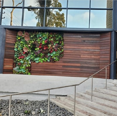 a building with a wall of plants on the side of it