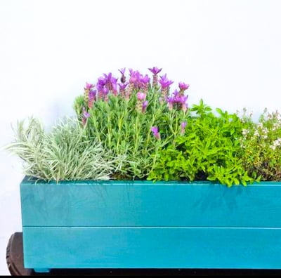indoor herb planter box long slim tube made from  colour painted wood