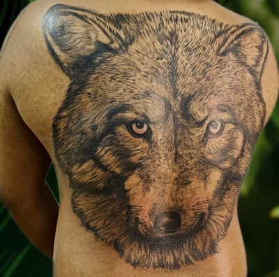 a man with a wolf tattoo on his back. Skink T