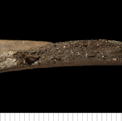 EMWM - Early medieval ware micaceous
