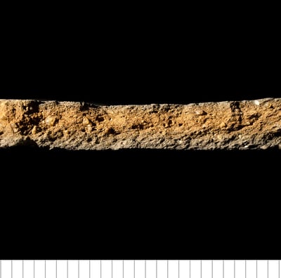 BMCW - Bury medieval coarseware