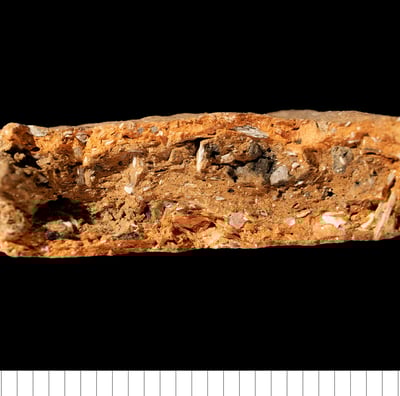EMWS - Shelly early medieval ware