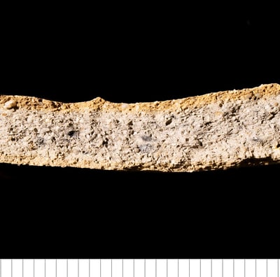 MSSCW - Medieval south Suffolk coarseware
