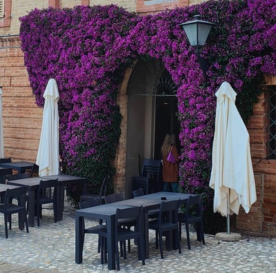 🍽️ Migliore ristorante di Grottammare by Indieblondie® from Le Marche in Italy™