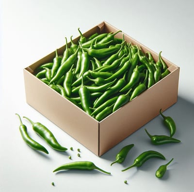 Green Chilli for international export from India