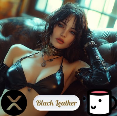 A mesmerizing NFT collection featuring a gorgeous dark-haired beauty adorned in a black leather bra 