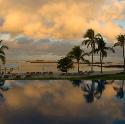 a pool with a view of the ocean