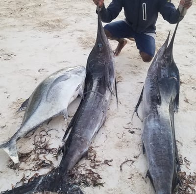 a man kneeling down to a few fish on the beach