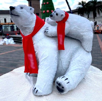 Alegoria oso polar