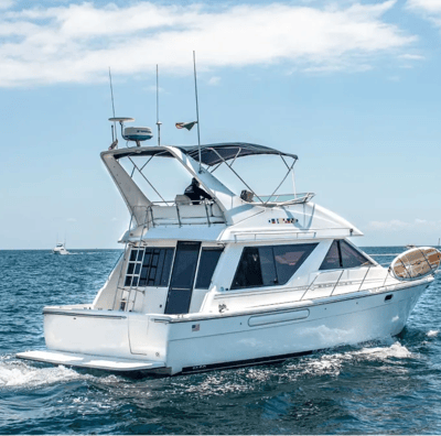 yate bayliner 44 en renta cabo san lucas popa