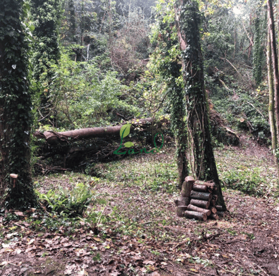 land_culture_project_waterworks_valley