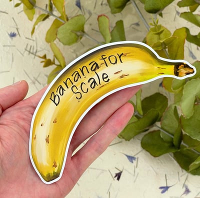 A banana sticker with banana for scale written on it