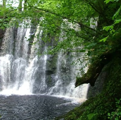 Glenariff waterfalls and Forrest park Northern Ireland