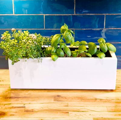 kitchen herb planter box made from quality wood painted in farrow and ball paint in colour white