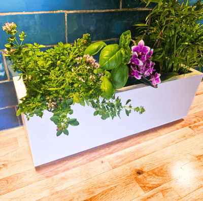 kitchen herb planter box Indoor herb planter box handmade in UK from solid quality wood painted in c