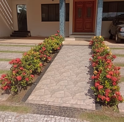 Jardim