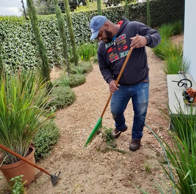 Limpeza Terreno
