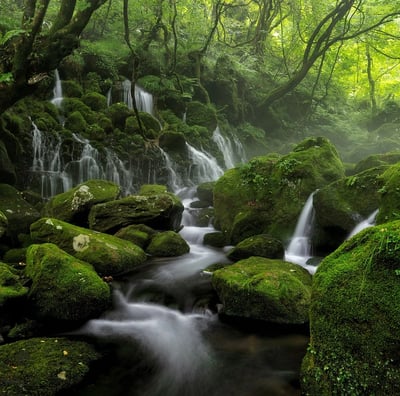 Cascade d'une rivière ardéchoise