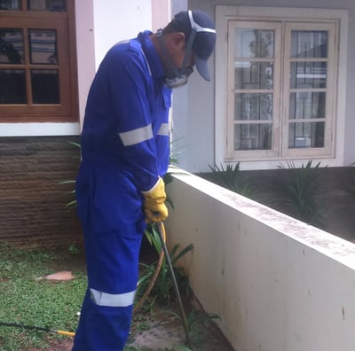 https://kendalirayap.id/harga-anti-rayap-terbaik-jabodetabek