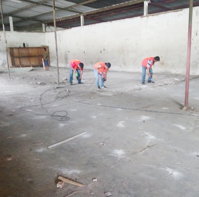 kendali rayap gudang