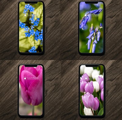 4 smartphone wallpapers. These are flowers 