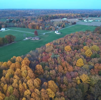 Aerial view of a large field with scattered houses, surrounded by a canopy of autumn-colored trees i