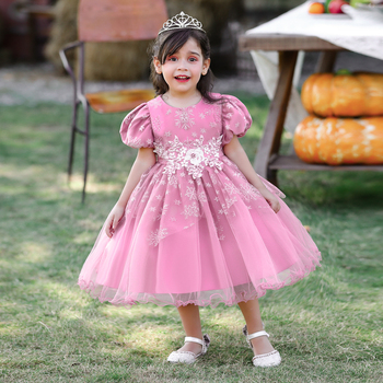 a little girl in a pink special occasion party dress